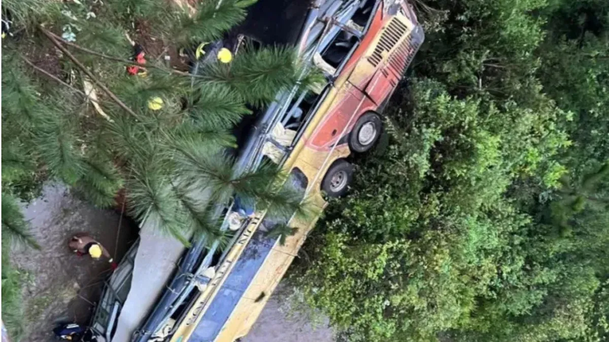 Tragedia en Misiones: un micro cayó de un puente tras chocar con un auto y dejó al menos nueve muertos