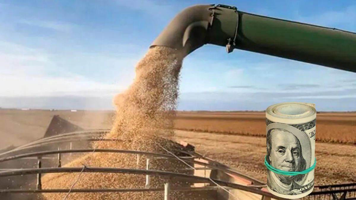 El Gobierno confirmó una nueva reducción de retenciones y busca enviar una señal de alivio al sector agroindustrial
