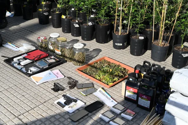 Golpe al narcotráfico en Nueva Pompeya: desbarataron un laboratorio con casi 300 plantas de marihuana