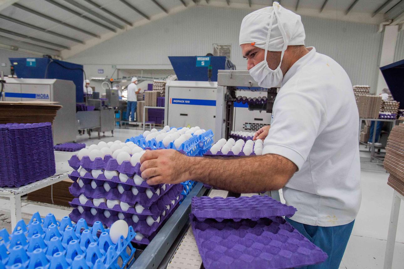 Bono de $360.000 y aumento salarial: qué trabajadores recibirán el beneficio tras el nuevo acuerdo paritario